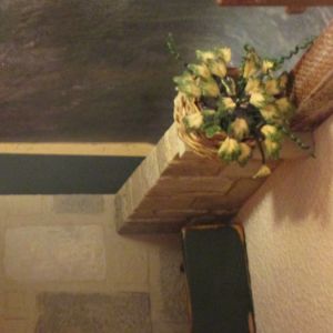 Cypress and Fog Cypress and Fog